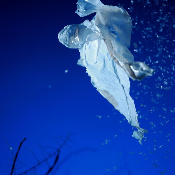 nuevas formas de&nbsp;vida