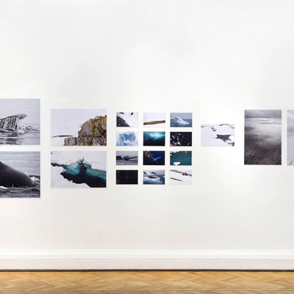 archivo natural antártico